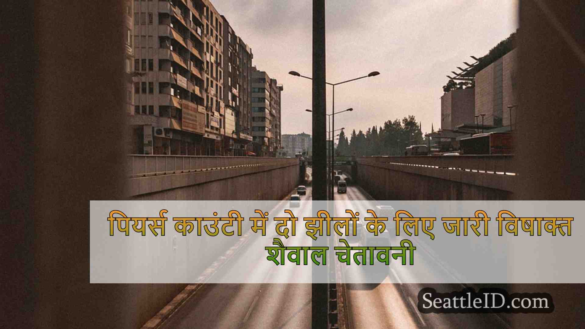 सिएटल समाचार SeattleID