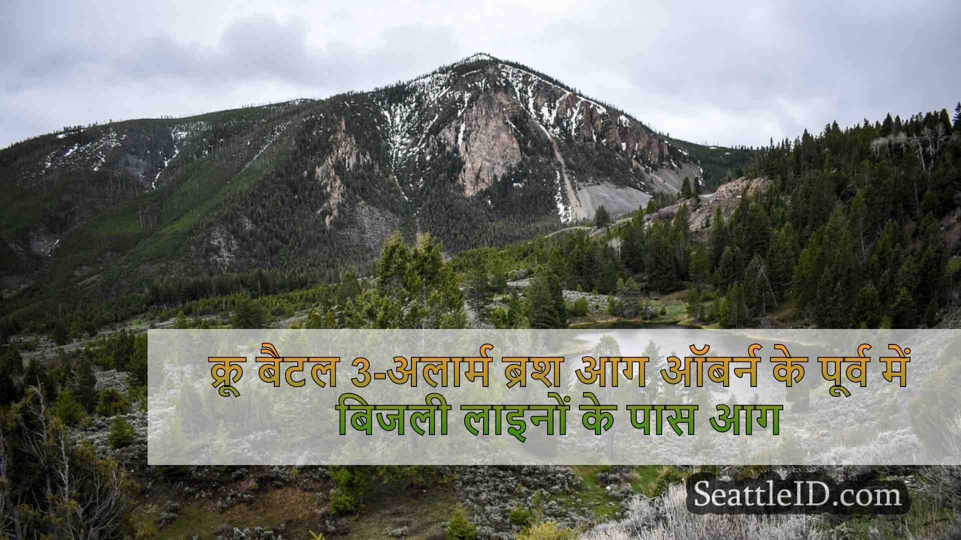 क्रू बैटल 3-अलार्म ब्रश आग ऑबर्न के