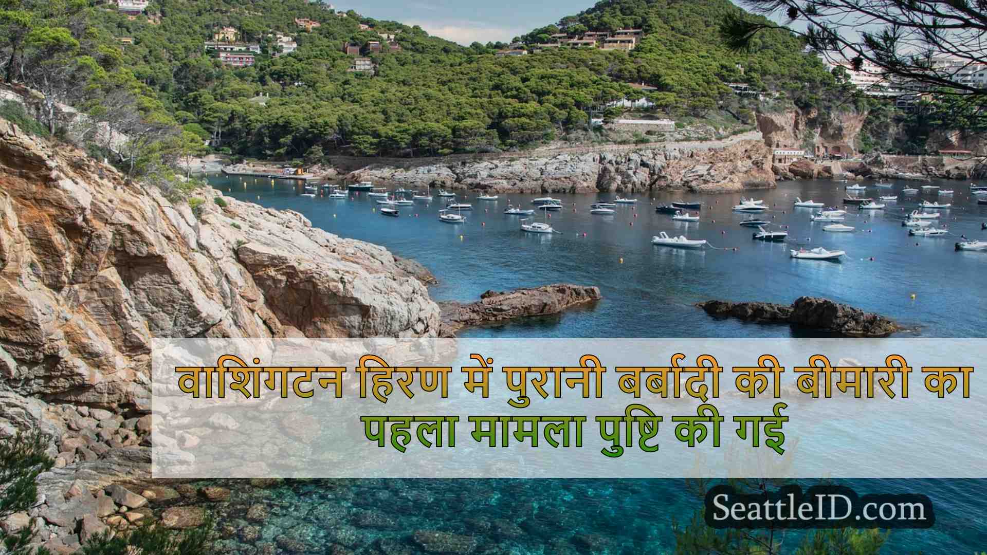 सिएटल समाचार SeattleID