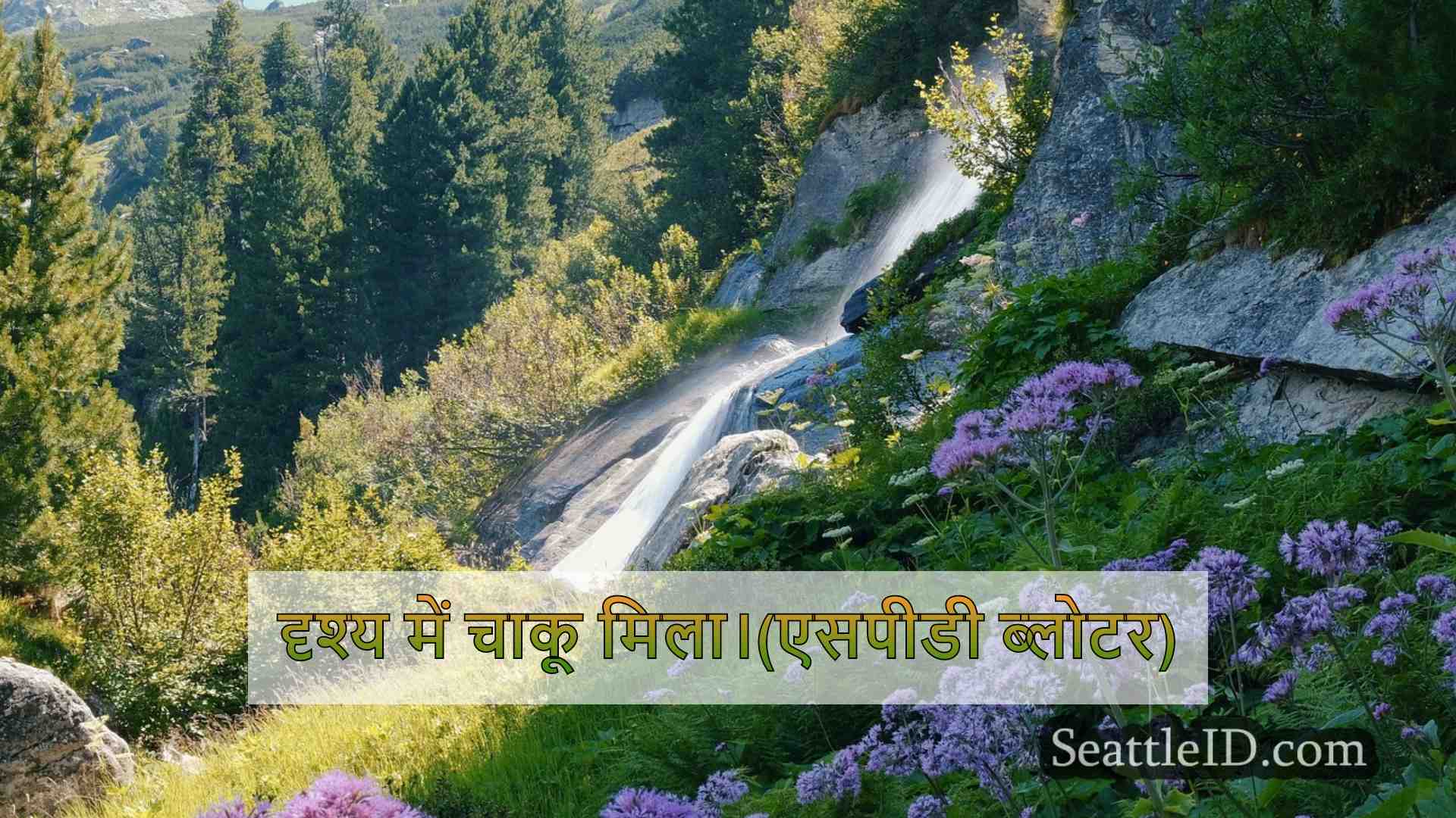 ब्लाइंड बुजुर्ग आदमी ने दक्षिण सिएटल