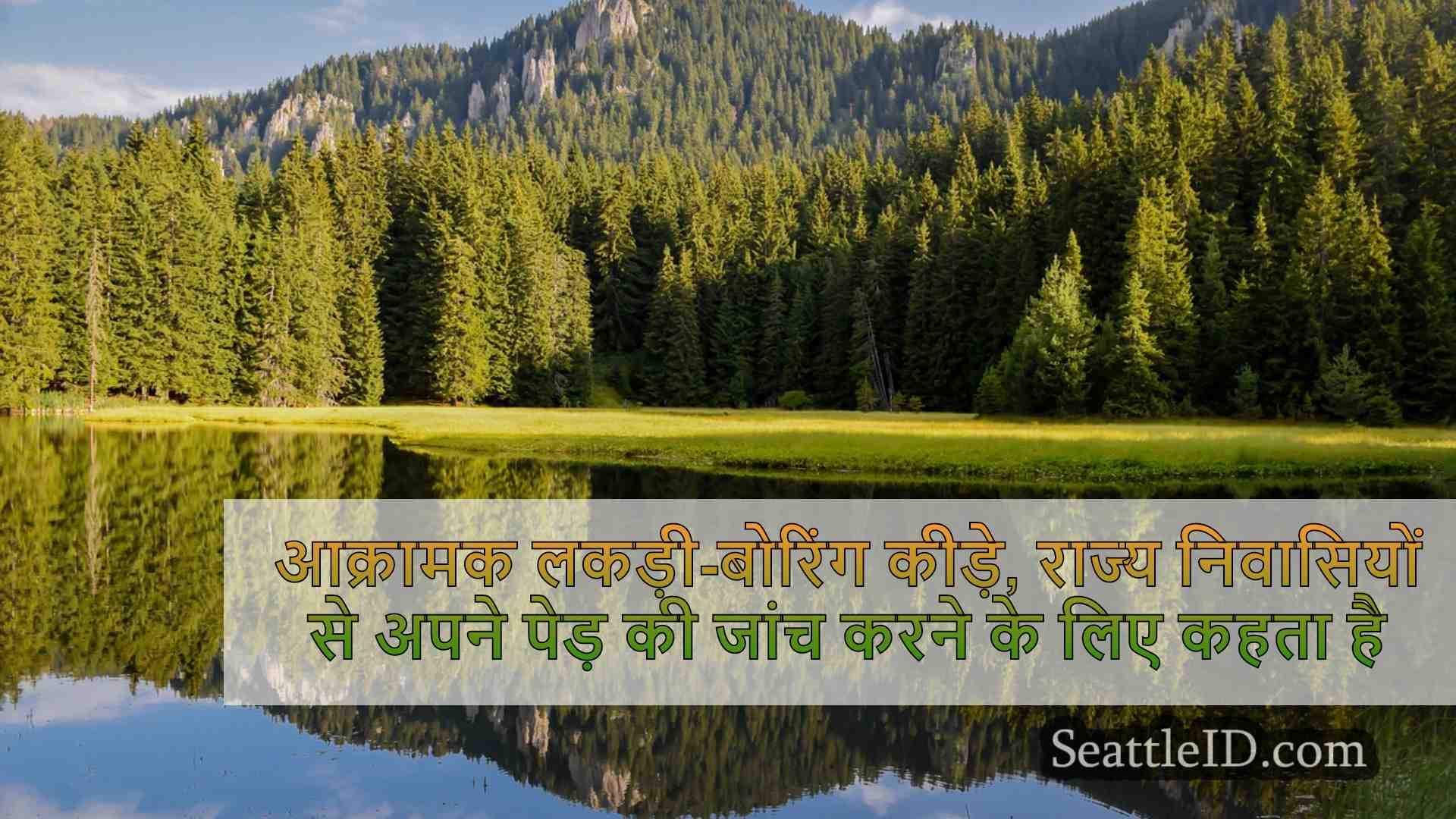 सिएटल समाचार SeattleID