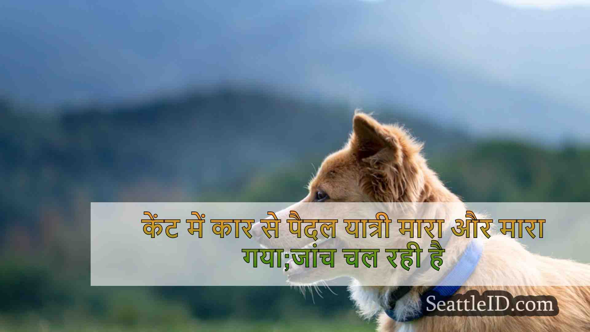 सिएटल समाचार SeattleID