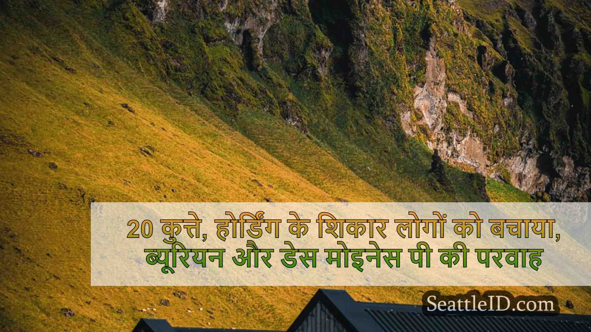 सिएटल समाचार SeattleID
