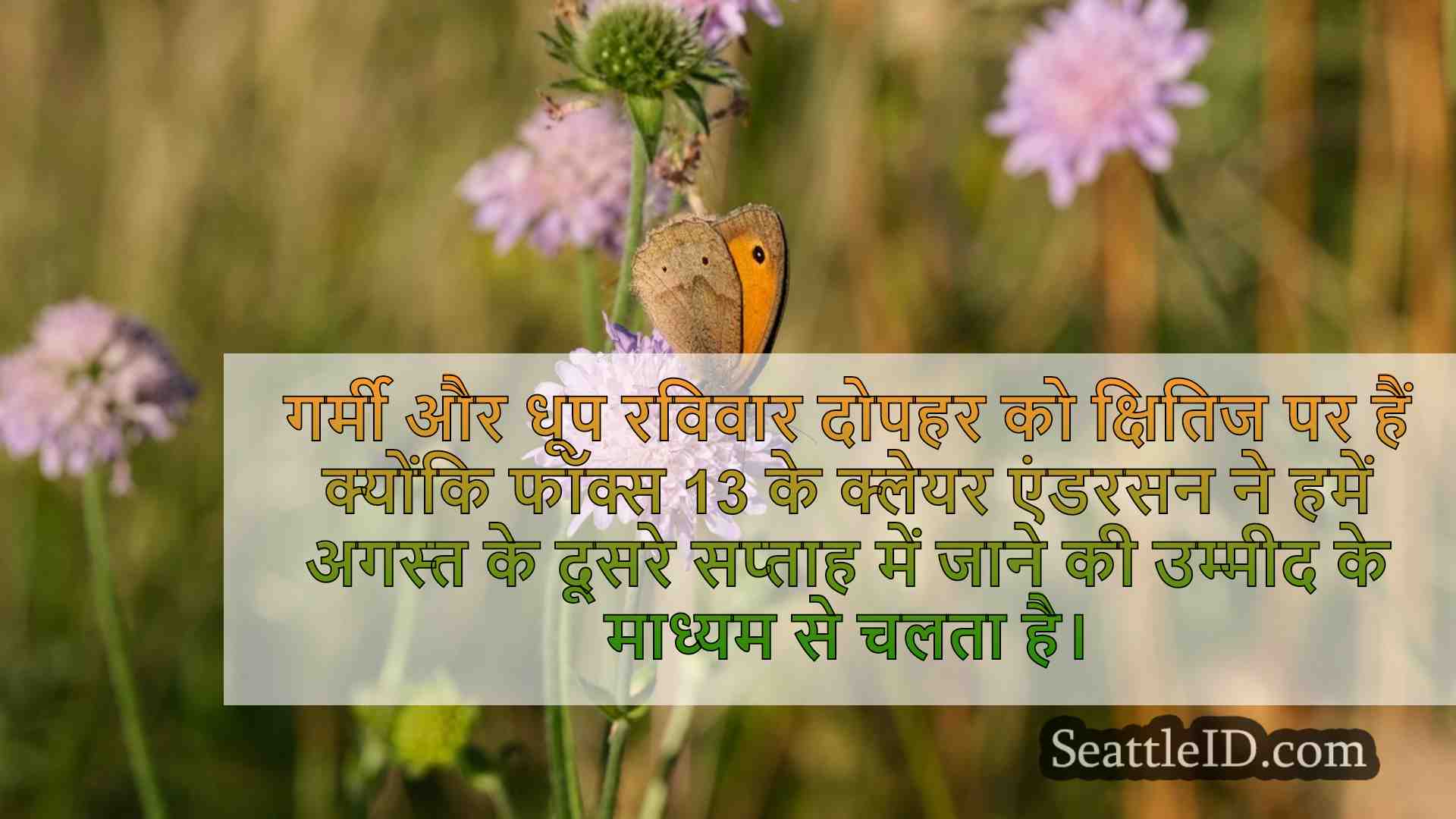 सिएटल समाचार SeattleID
