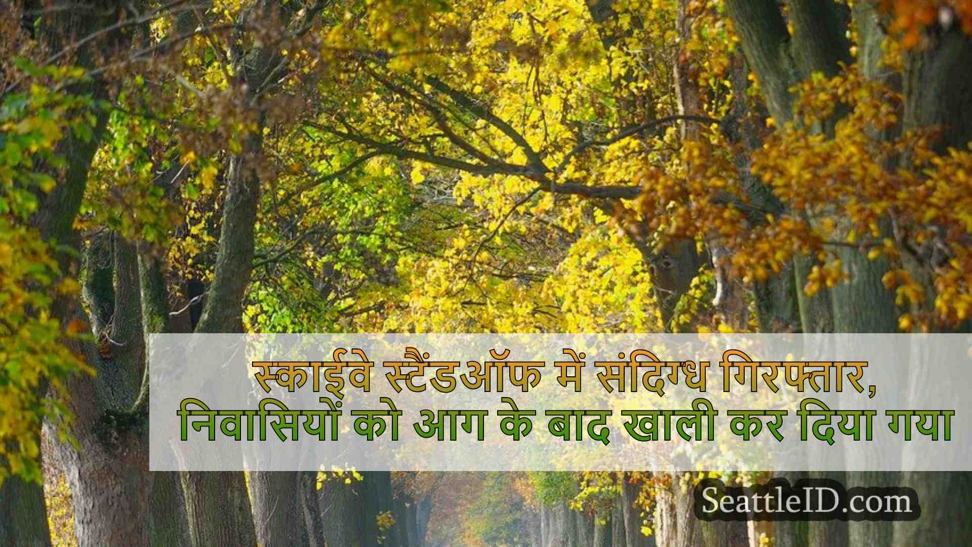 स्काईवे स्टैंडऑफ में संदिग्ध गिरफ्तार,