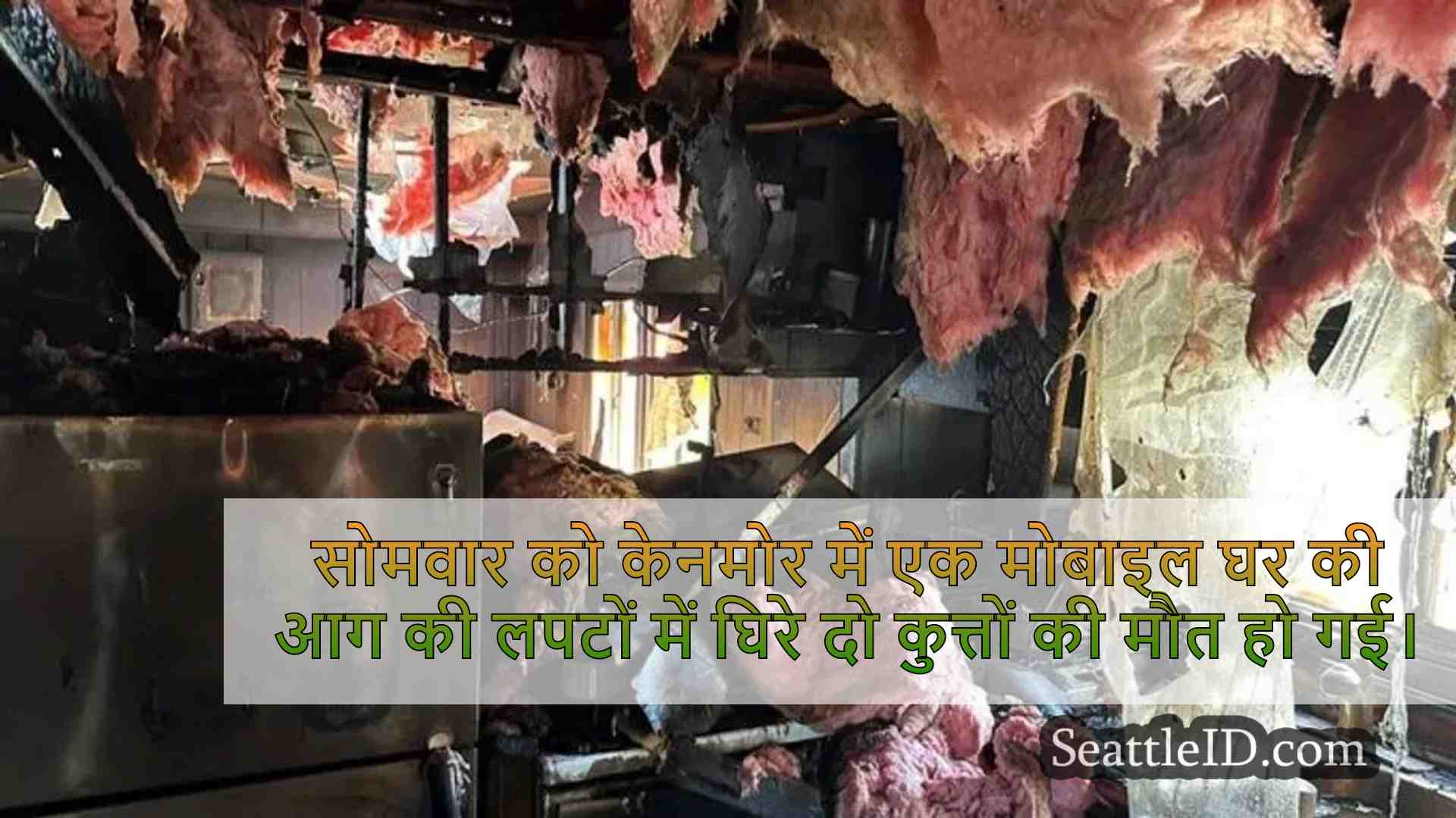 केनमोर मोबाइल होम फायर में दो कुत्ते मर