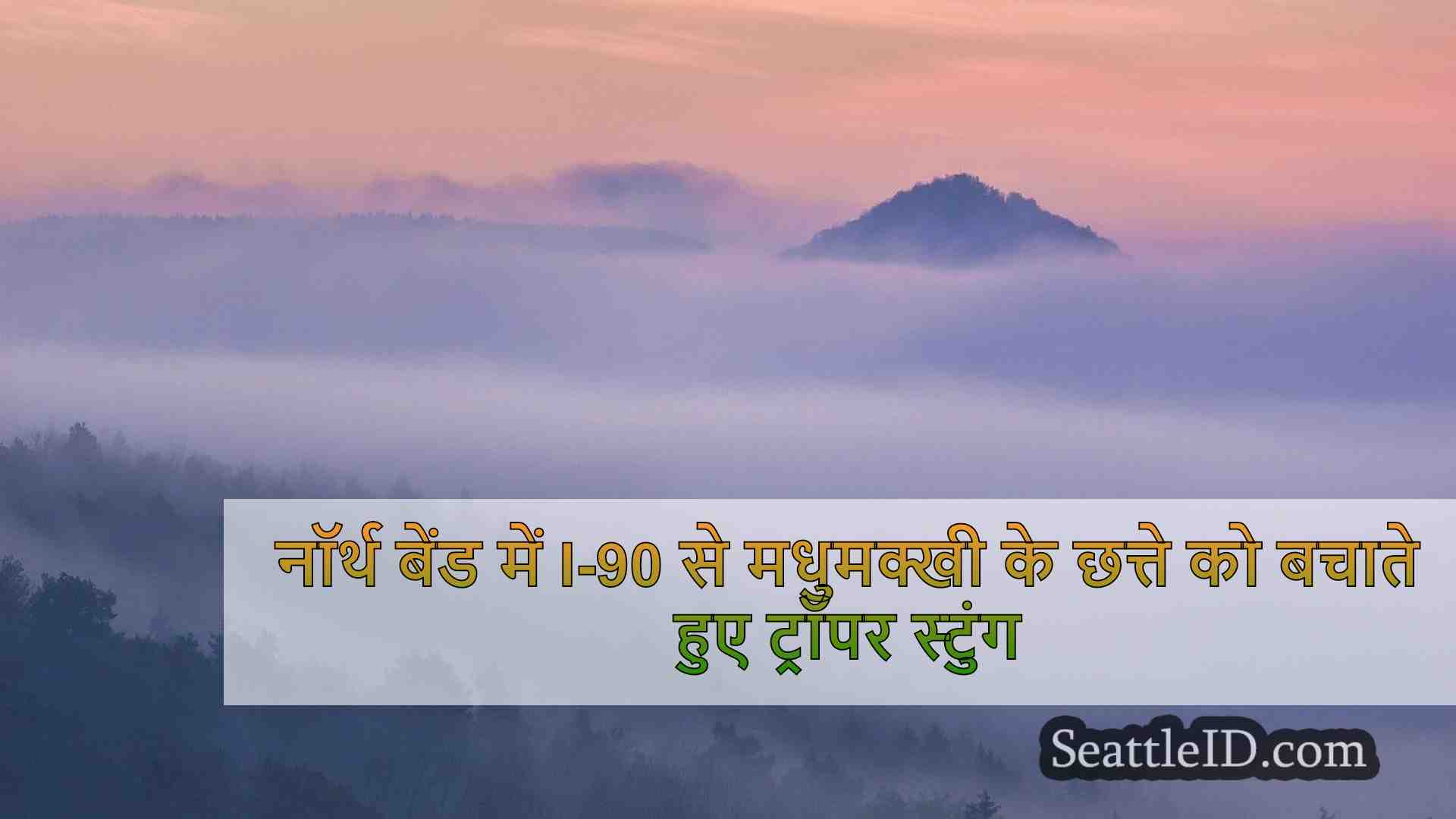सिएटल समाचार SeattleID