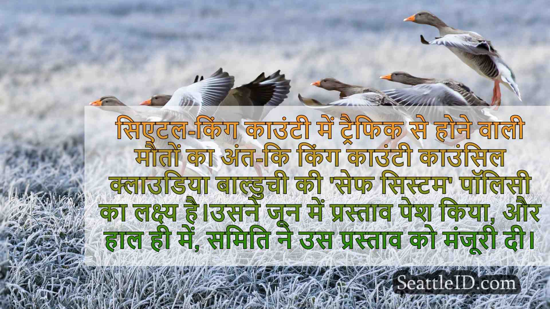 सिएटल समाचार SeattleID