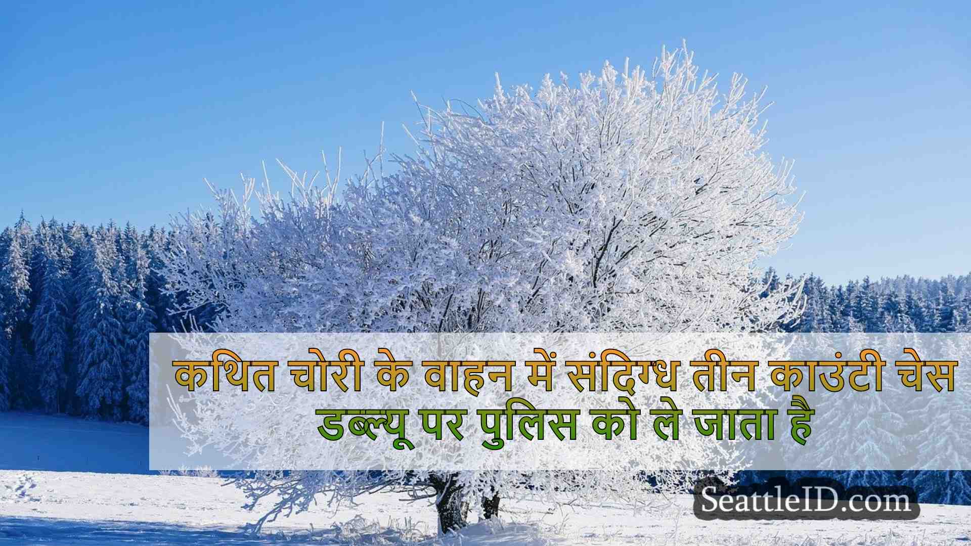 सिएटल समाचार SeattleID
