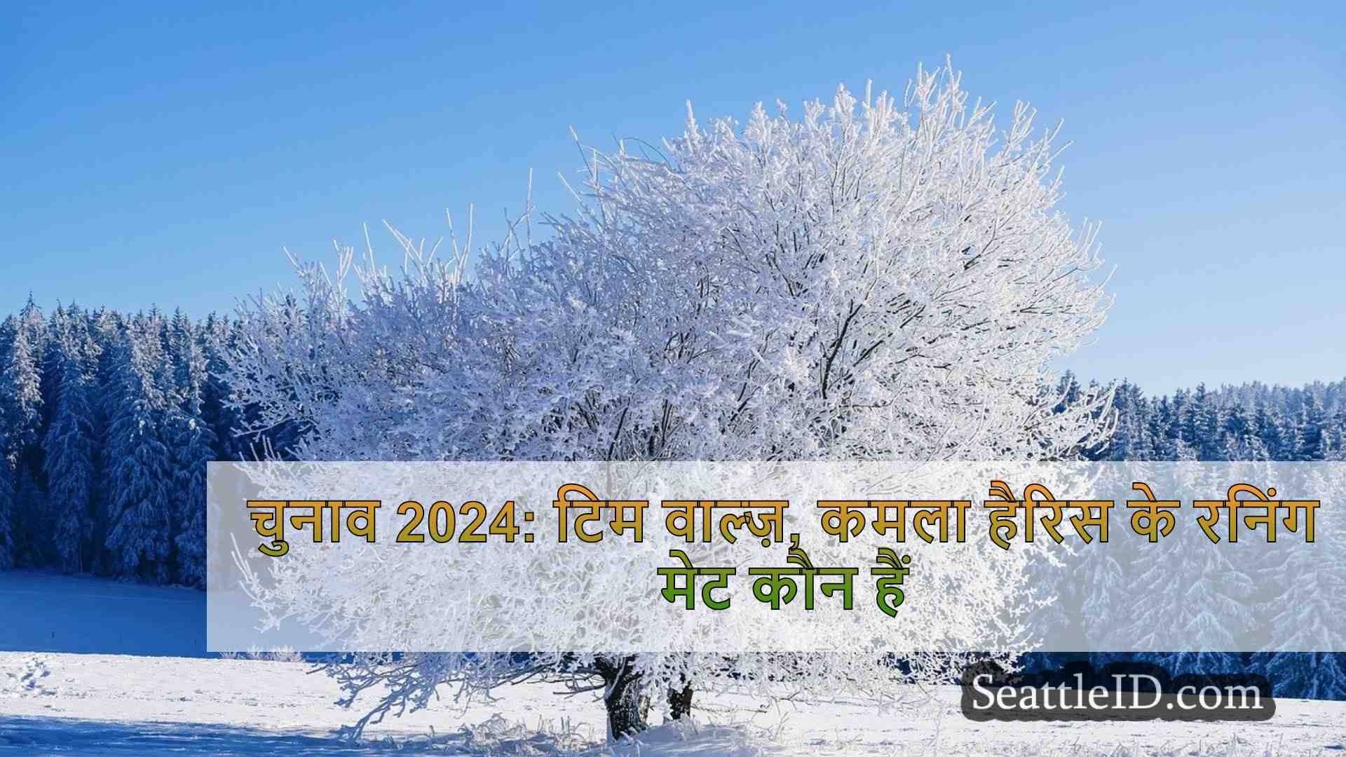 सिएटल समाचार SeattleID