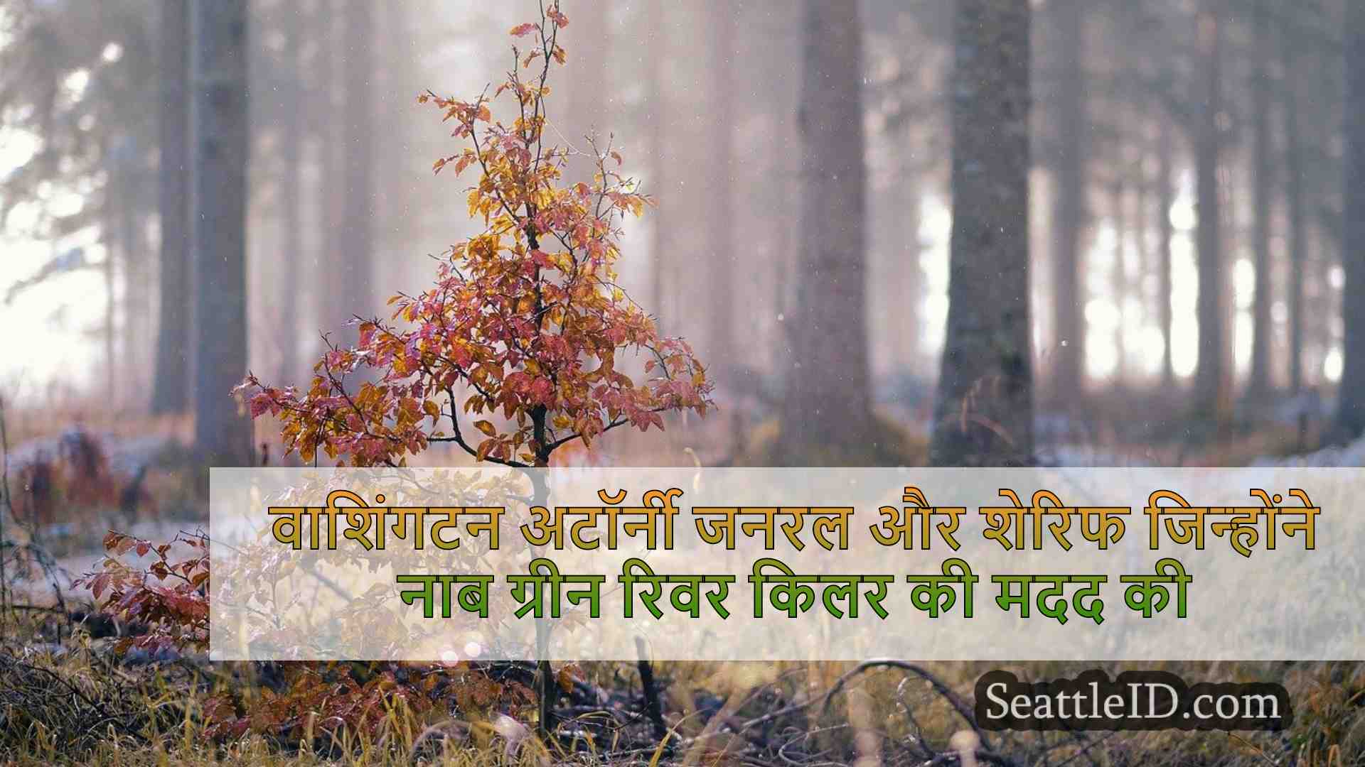 सिएटल समाचार SeattleID