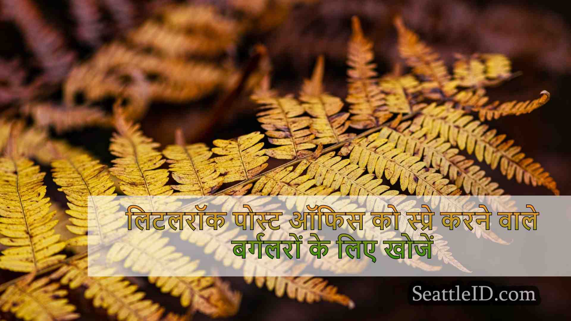 सिएटल समाचार SeattleID