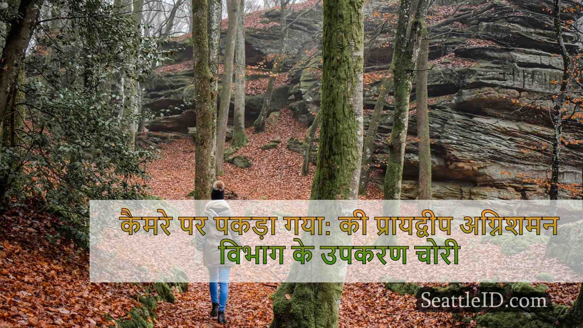 सिएटल समाचार SeattleID