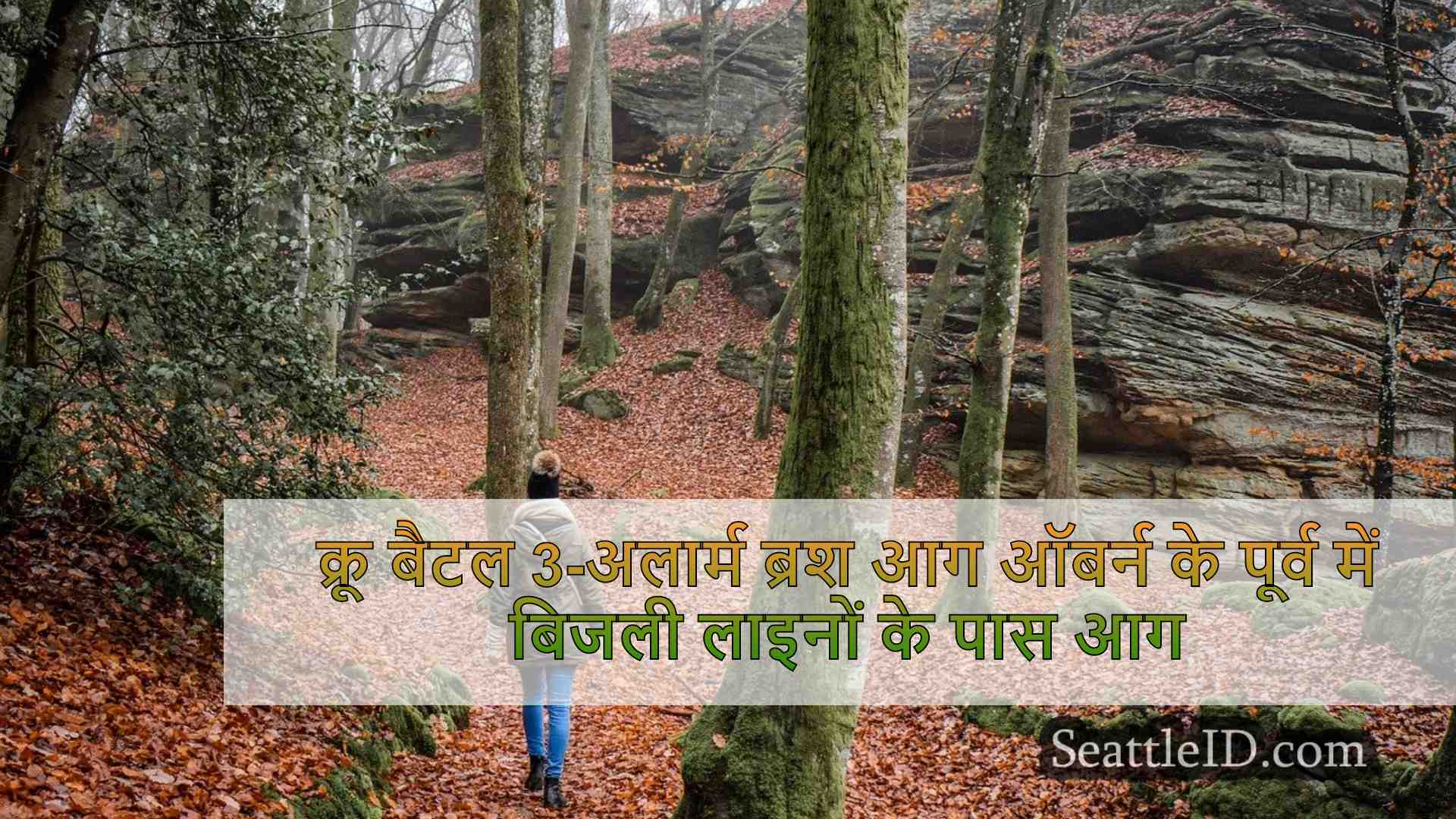 सिएटल समाचार SeattleID
