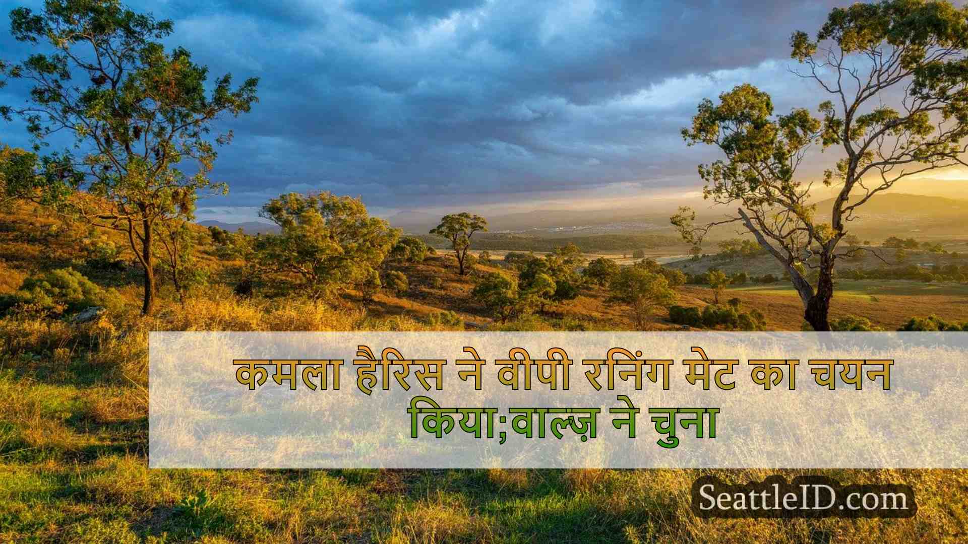 सिएटल समाचार SeattleID