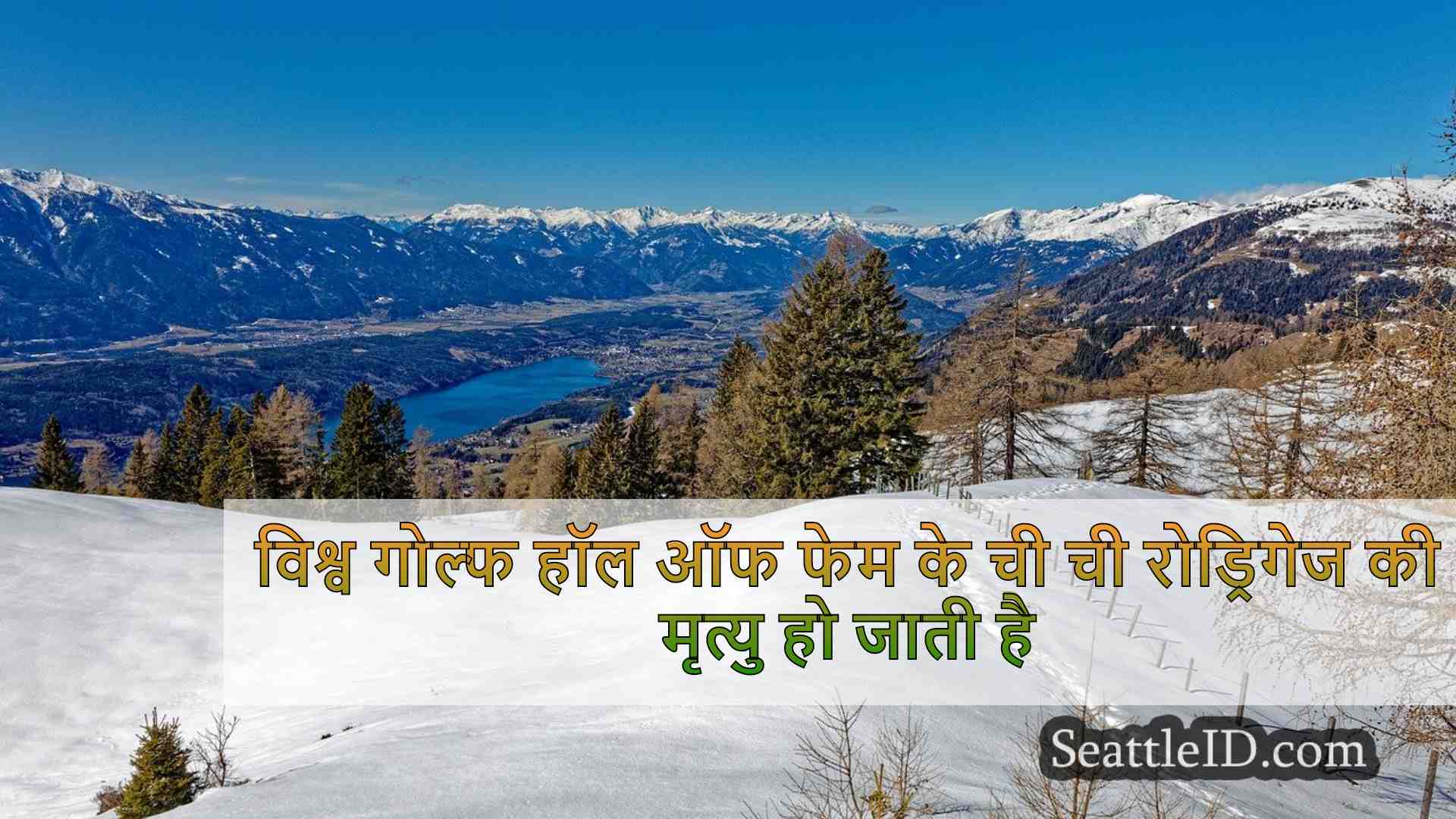 सिएटल समाचार SeattleID