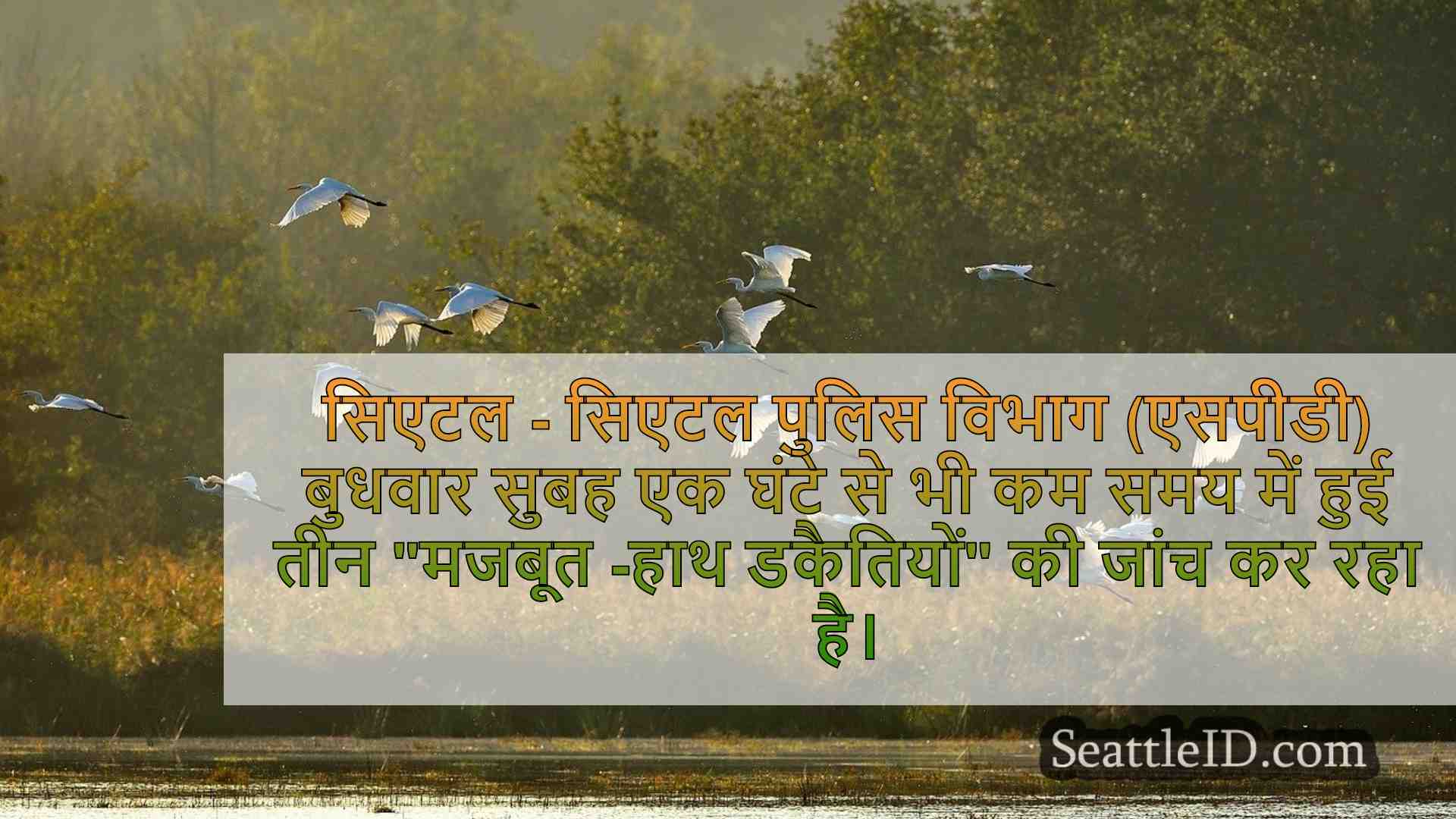 सिएटल समाचार SeattleID