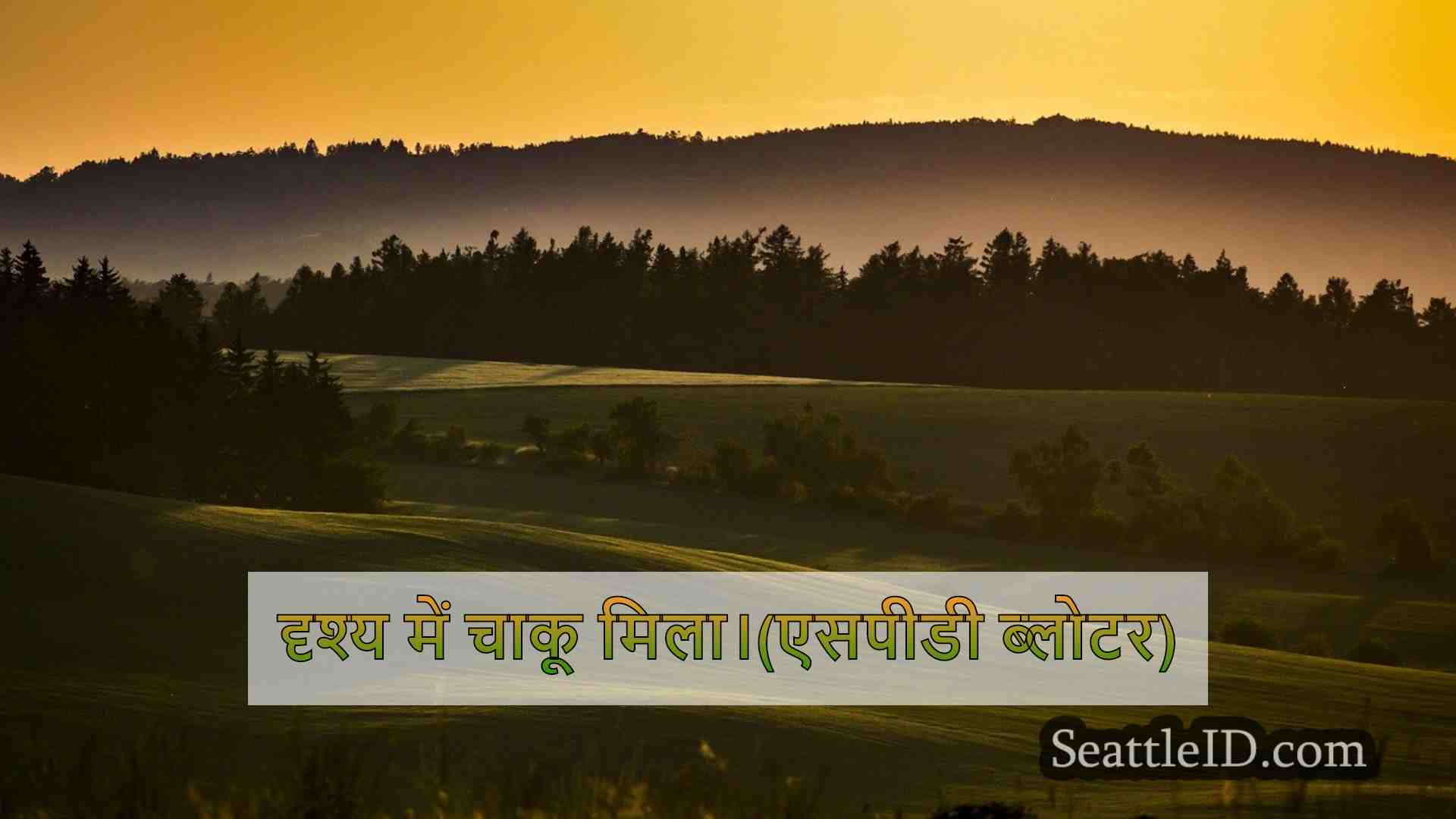 सिएटल समाचार SeattleID