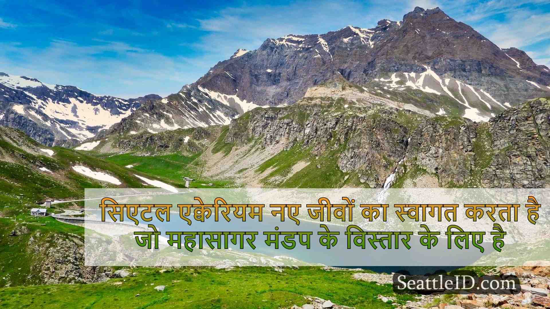 सिएटल समाचार SeattleID