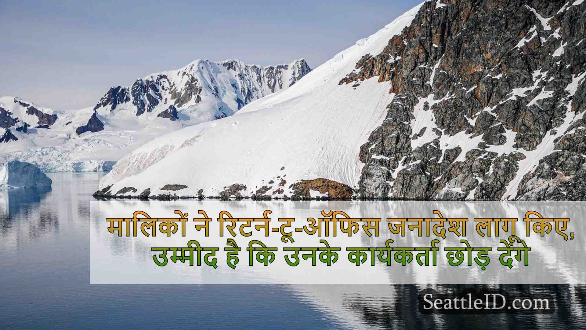 सिएटल समाचार SeattleID