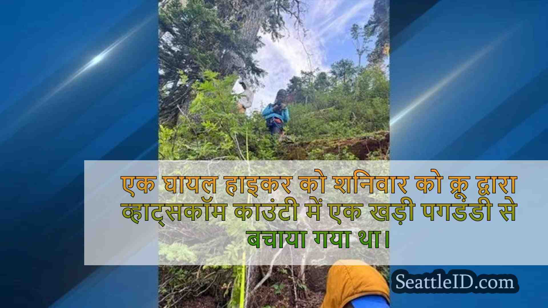 सिएटल समाचार SeattleID
