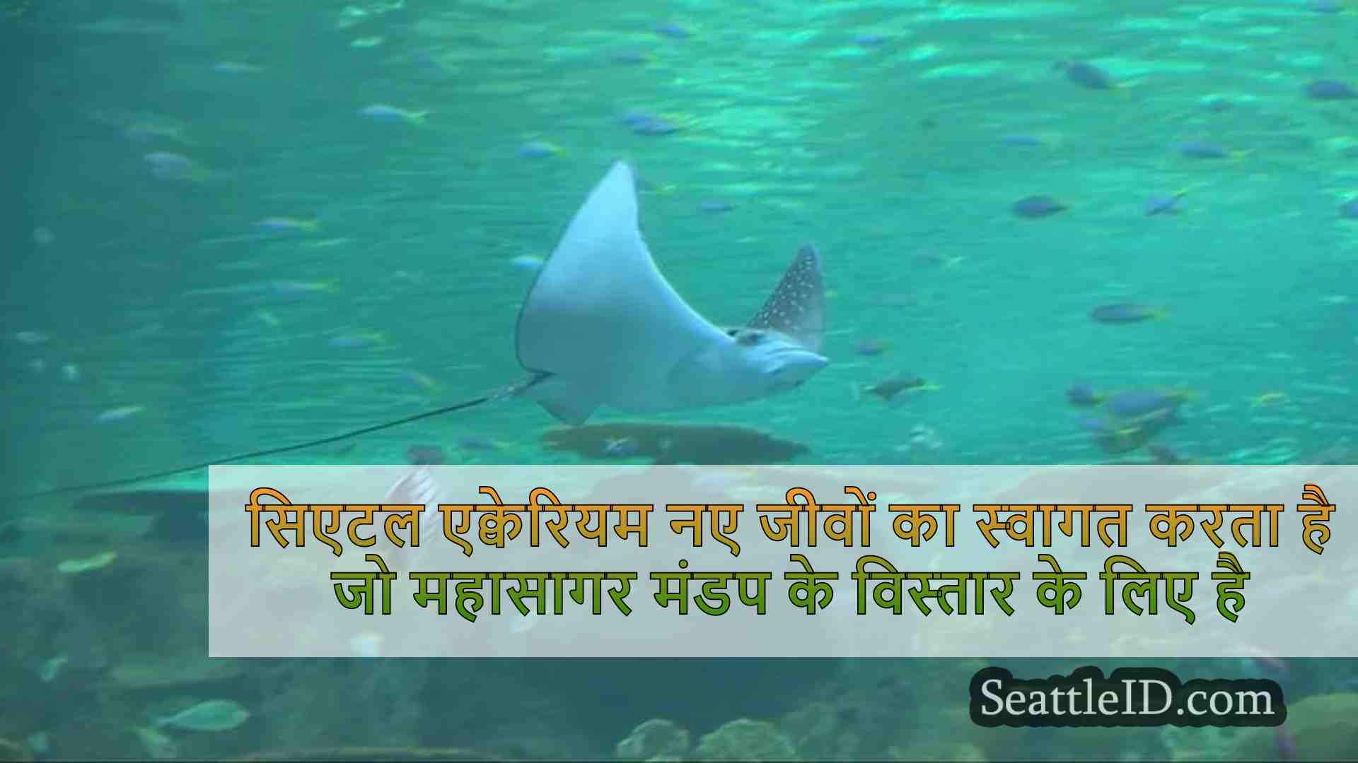सिएटल एक्वेरियम नए जीवों का स्वागत करता