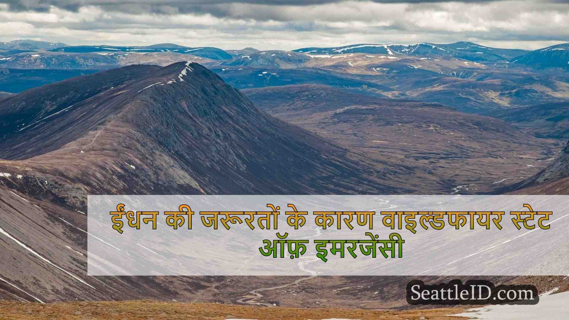 सिएटल समाचार SeattleID