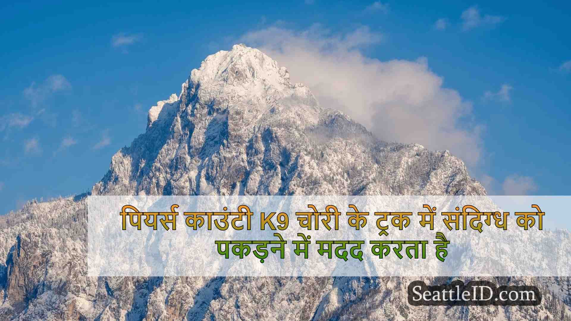 सिएटल समाचार SeattleID