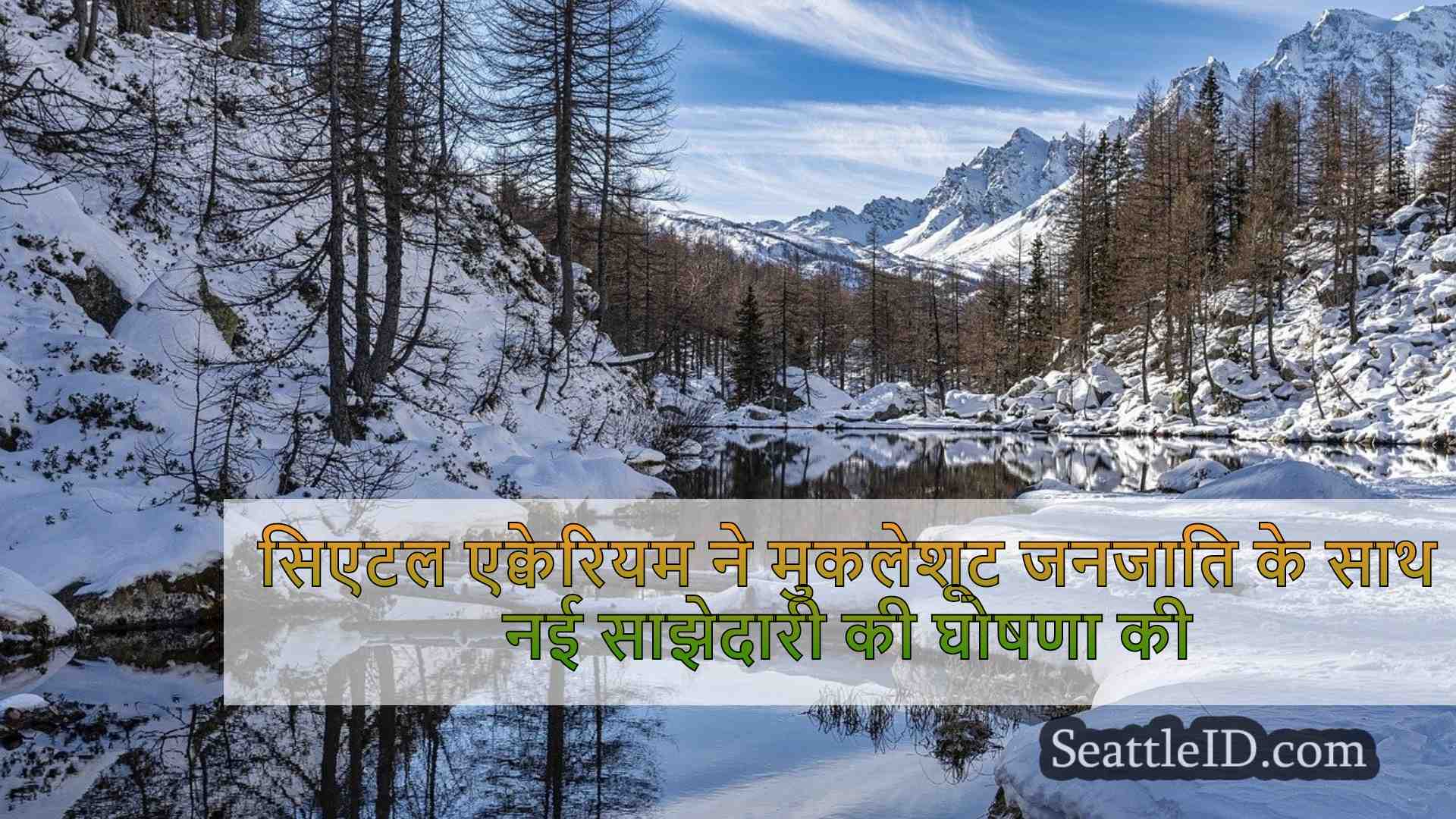 सिएटल समाचार SeattleID