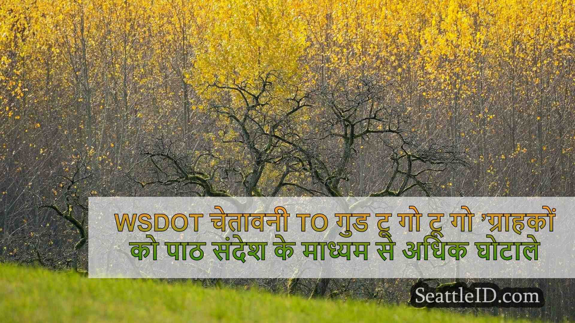 सिएटल समाचार SeattleID