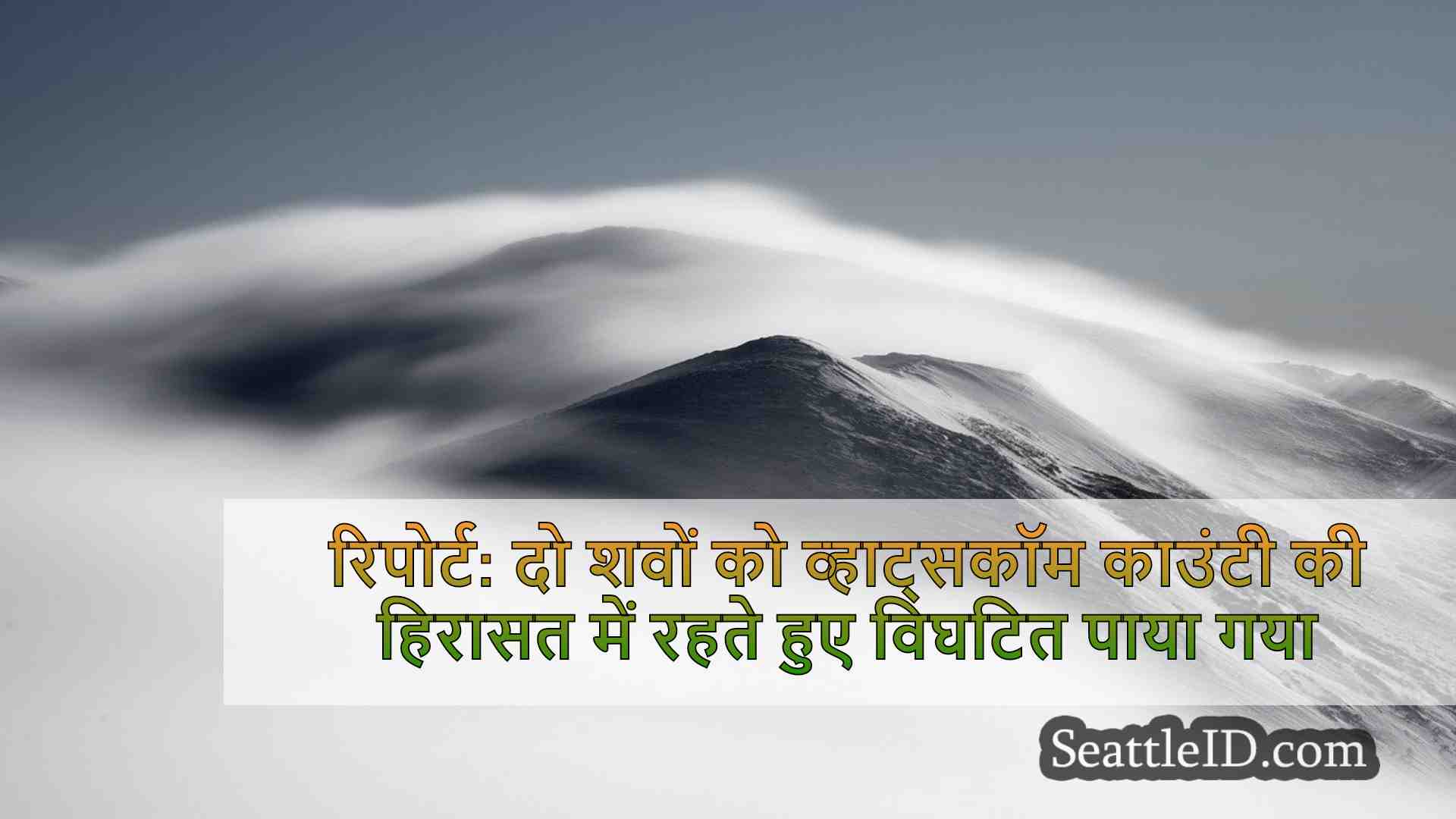 सिएटल समाचार SeattleID