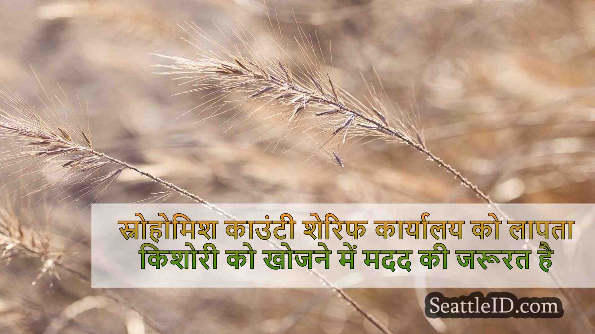 सिएटल समाचार SeattleID
