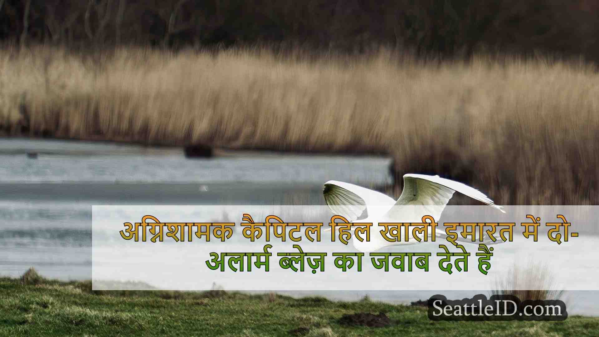 सिएटल समाचार SeattleID