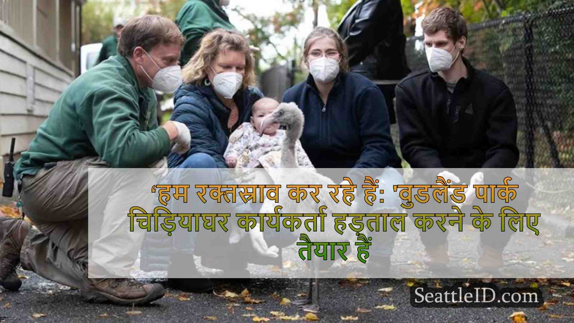 ‘हम रक्तस्राव कर रहे हैं: 'वुडलैंड