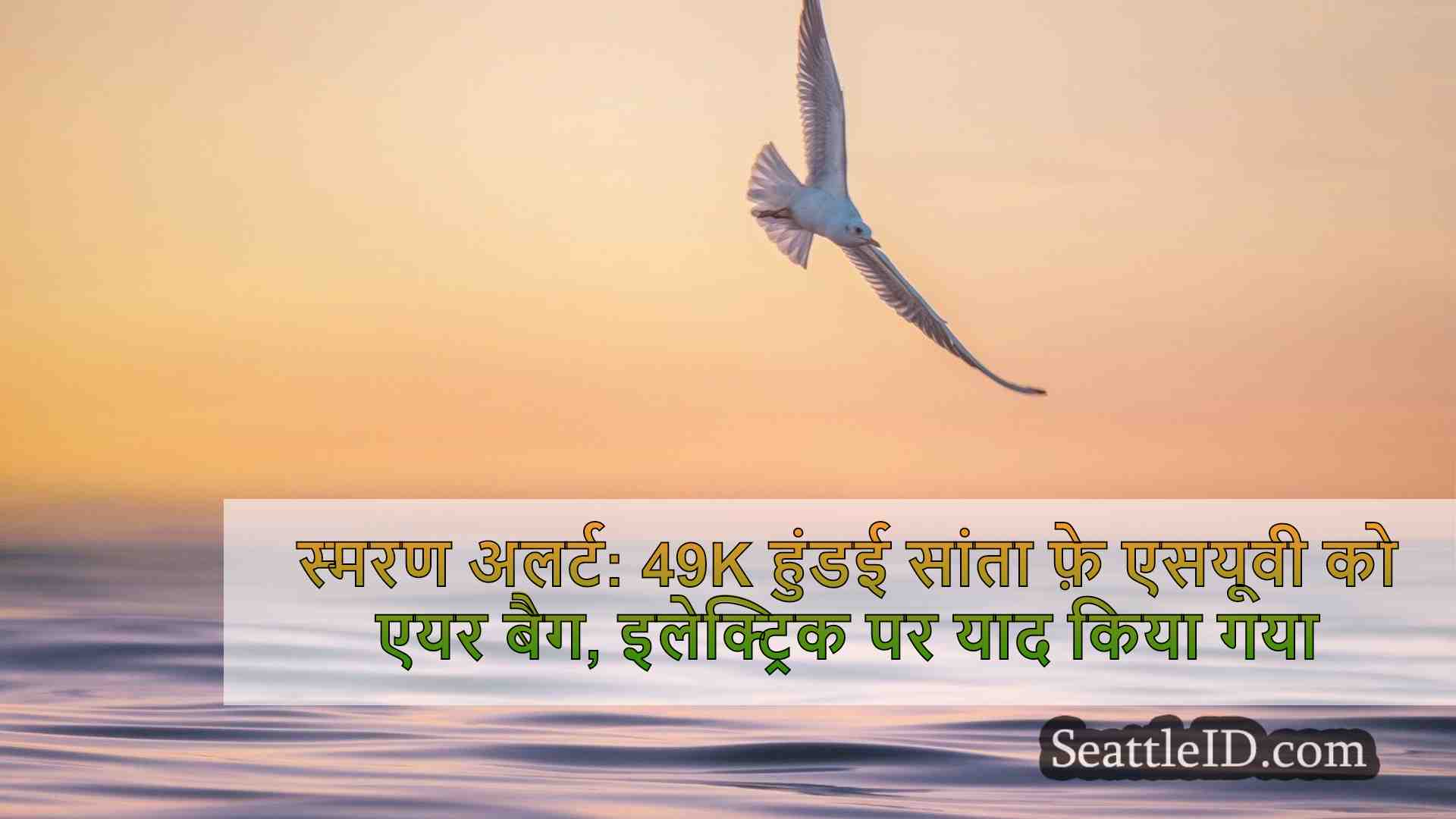सिएटल समाचार SeattleID