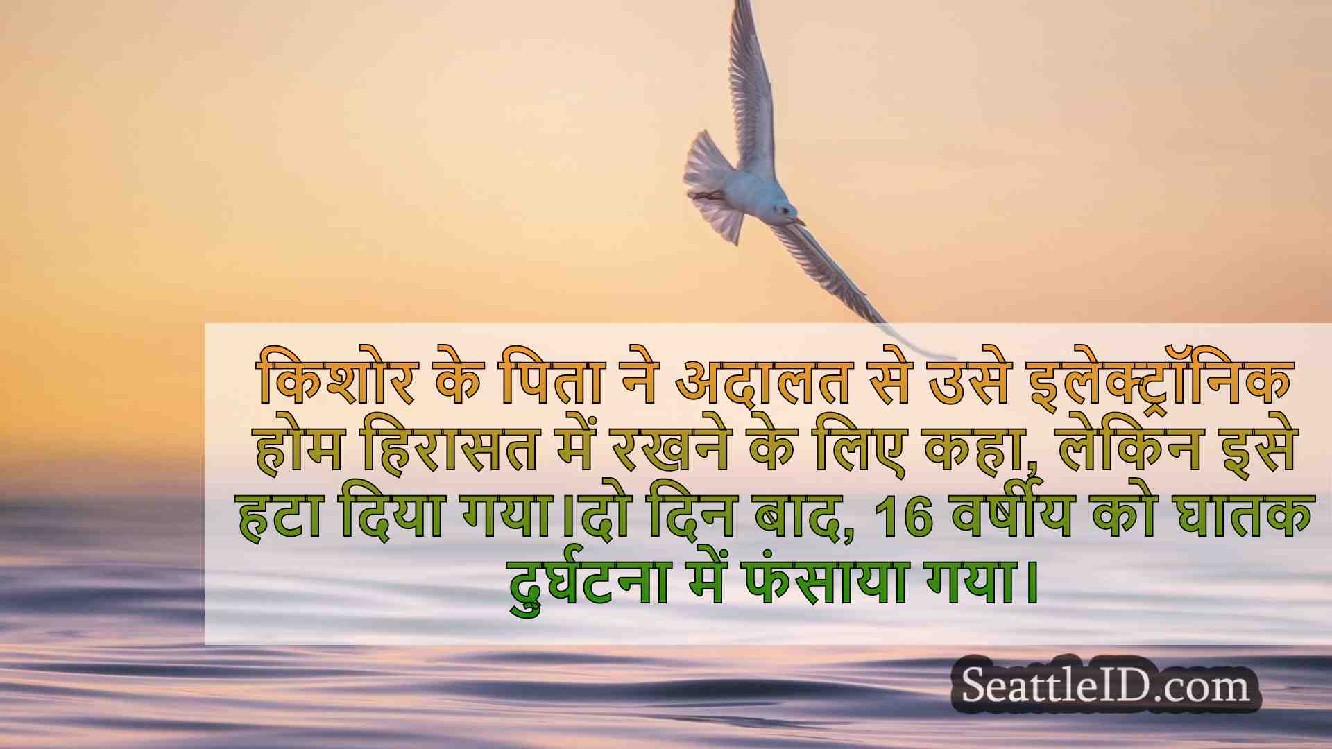 सिएटल समाचार SeattleID
