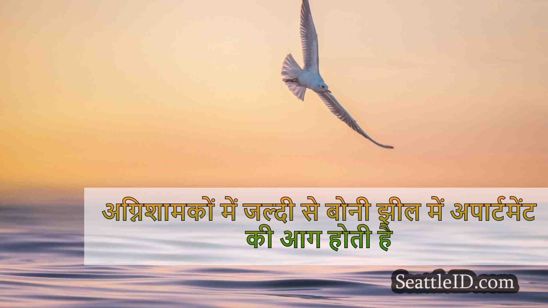 सिएटल समाचार SeattleID