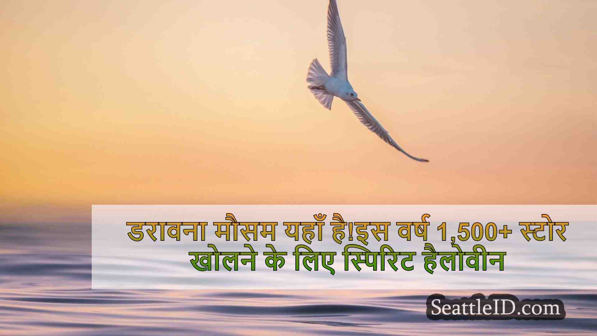 सिएटल समाचार SeattleID