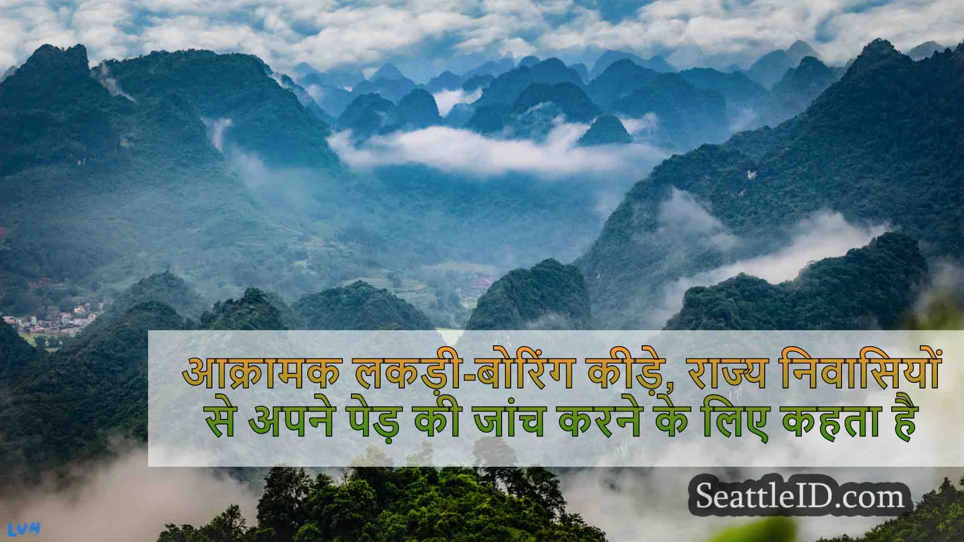 सिएटल समाचार SeattleID