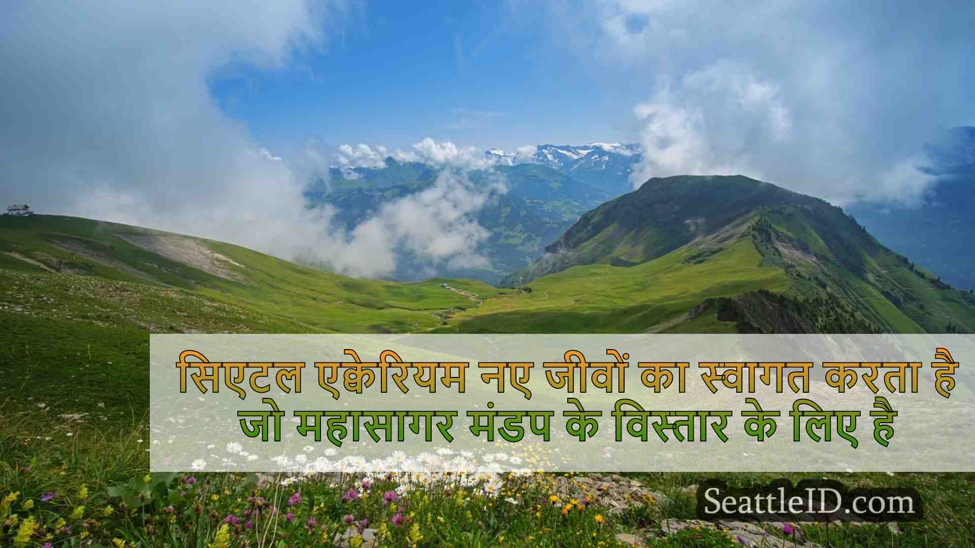 सिएटल समाचार SeattleID