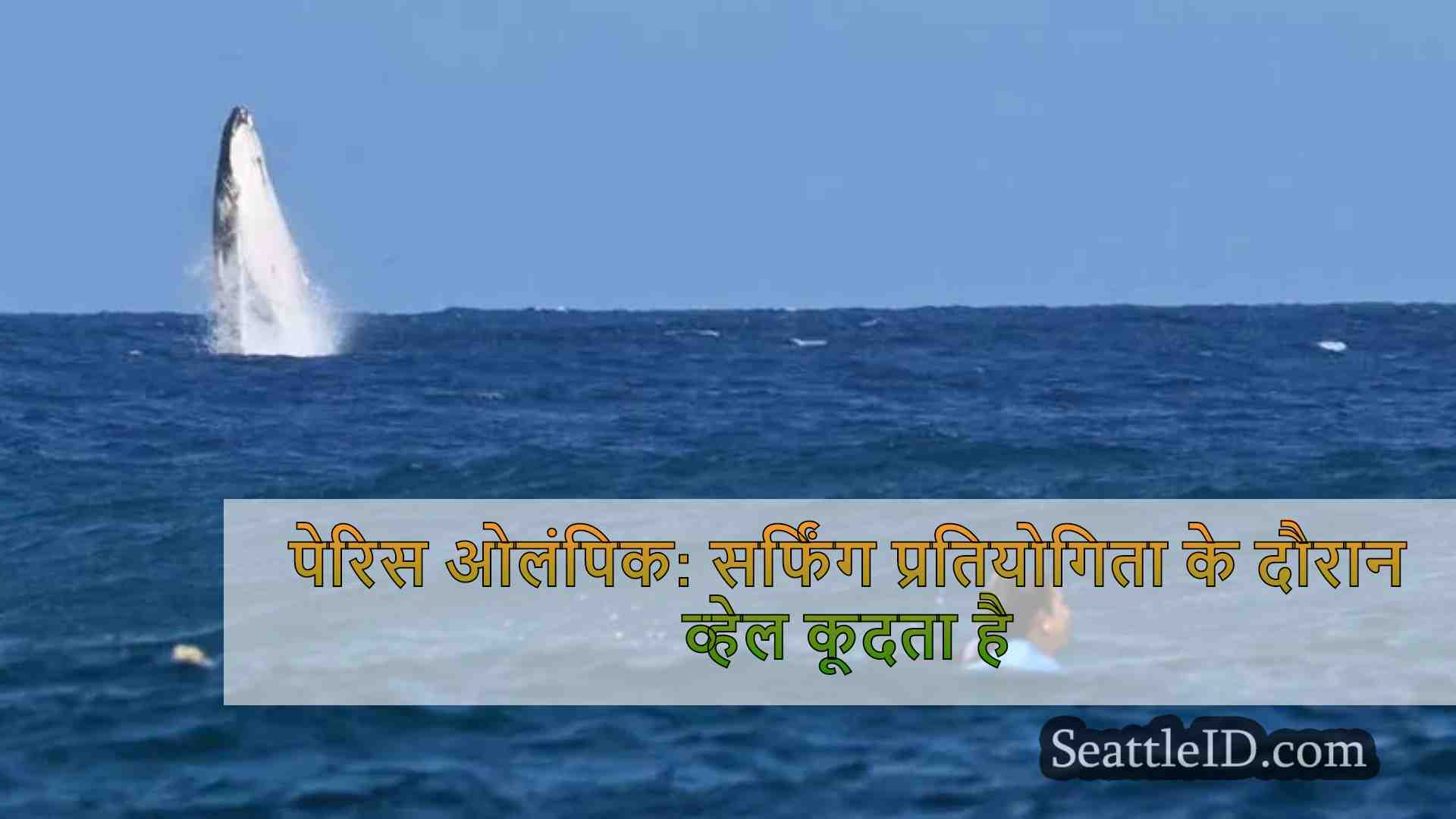 पेरिस ओलंपिक: सर्फिंग प्रतियोगिता के