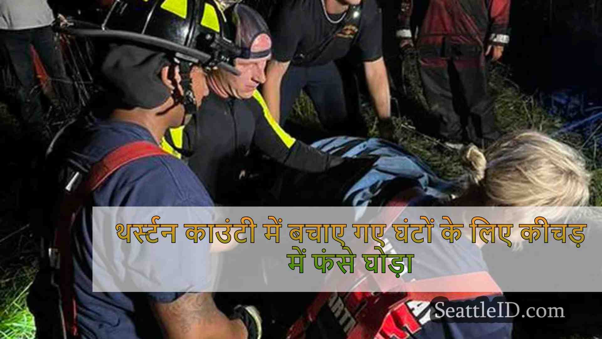 सिएटल समाचार SeattleID