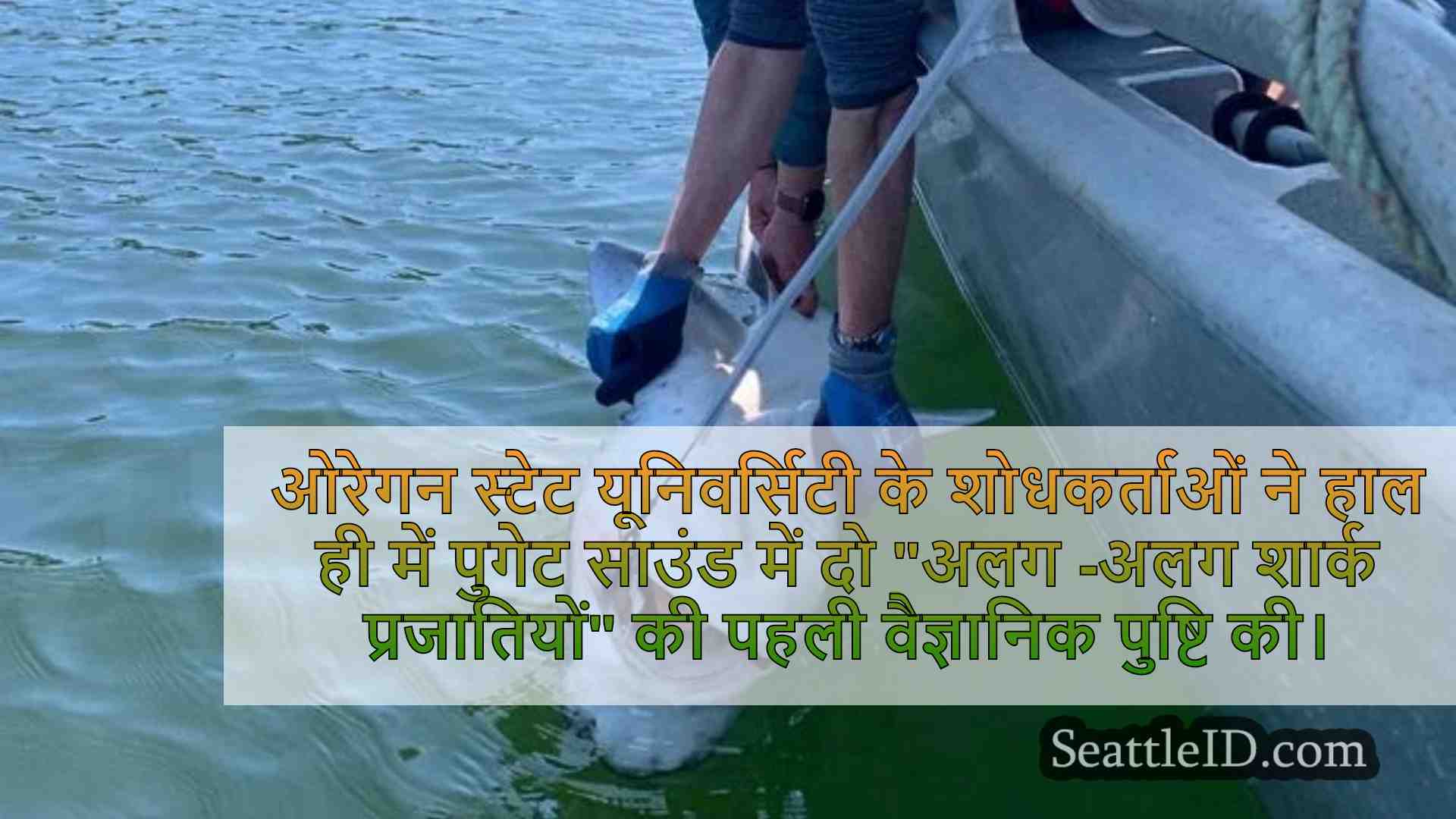 सिएटल समाचार SeattleID