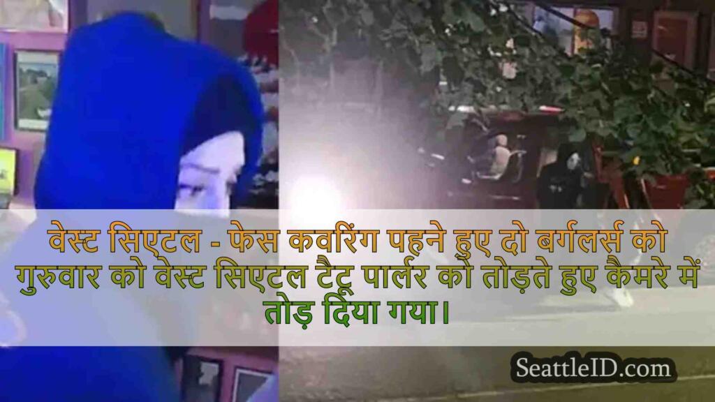'इन और आउट 2 मिनट के तहत': बर्गलर्स ने