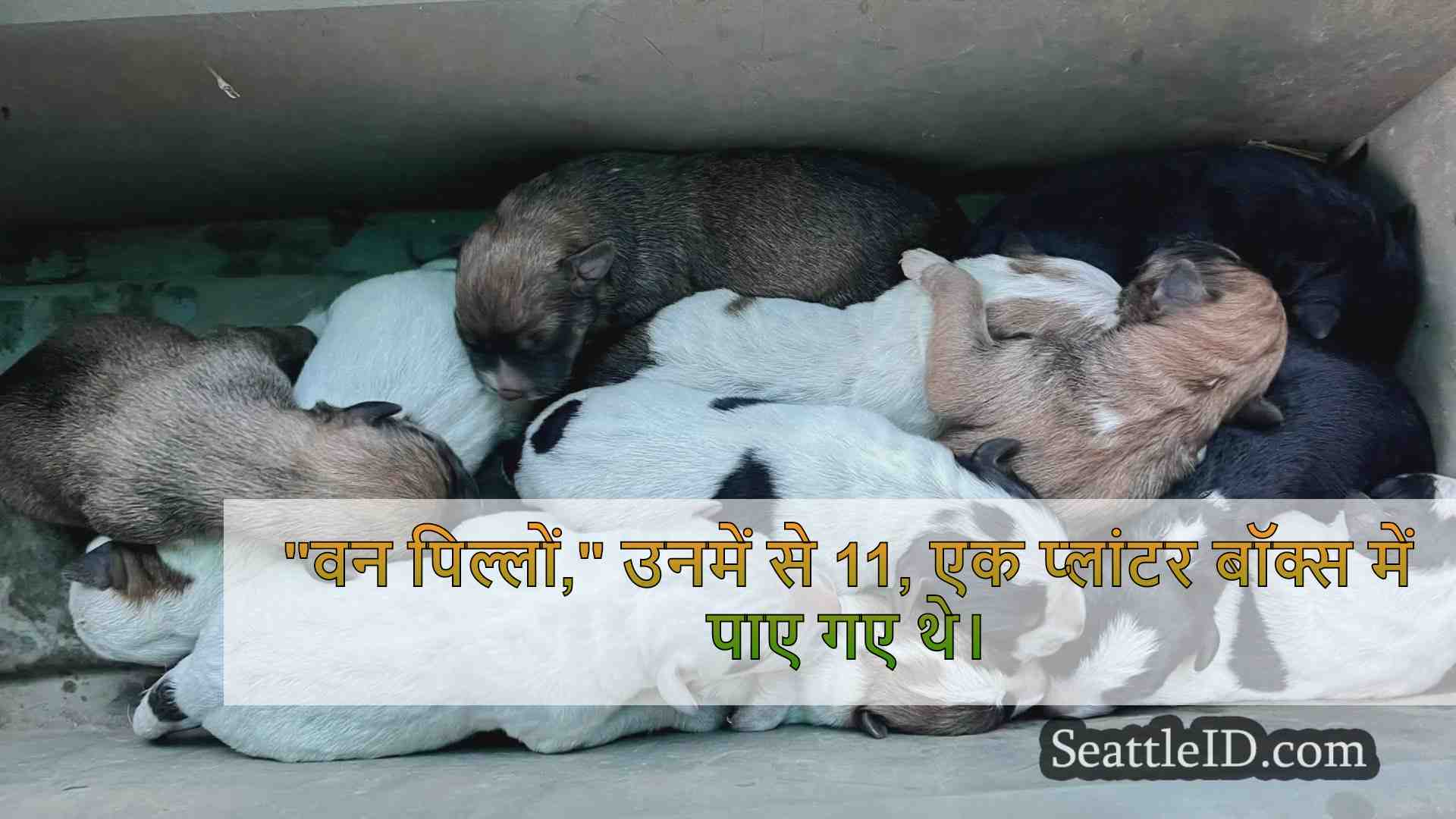 हाइकर्स कैपिटल स्टेट फॉरेस्ट ट्रेलहेड