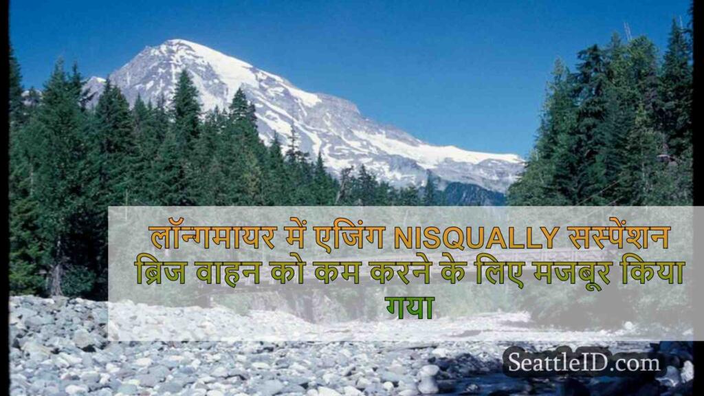 क्रॉसिंग के लिए वाहन के वजन की सीमा को