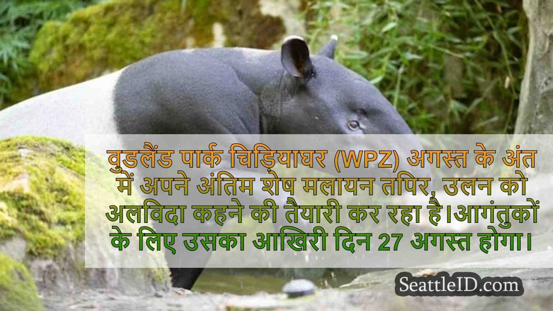 सिएटल समाचार SeattleID