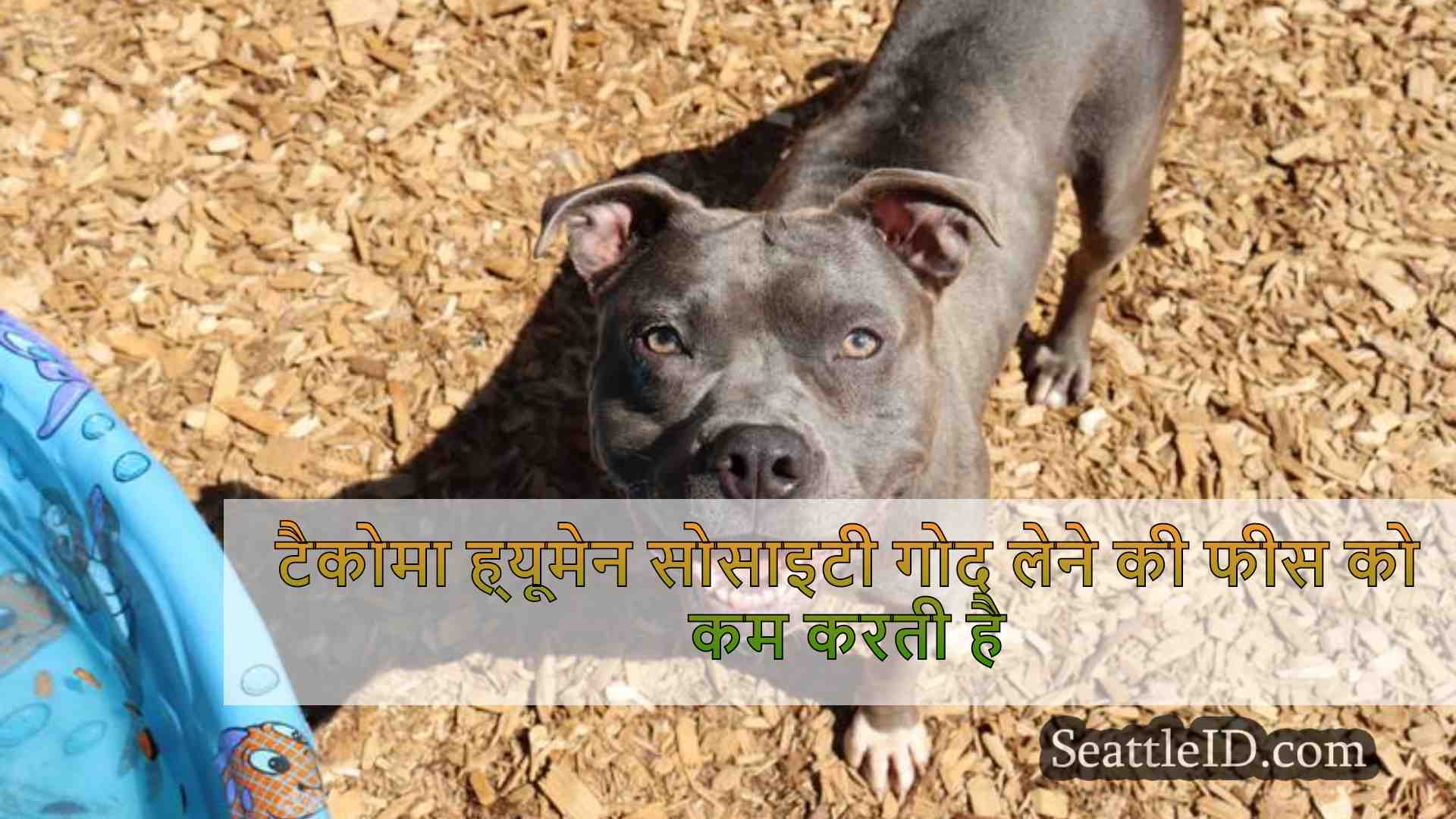 सिएटल समाचार SeattleID
