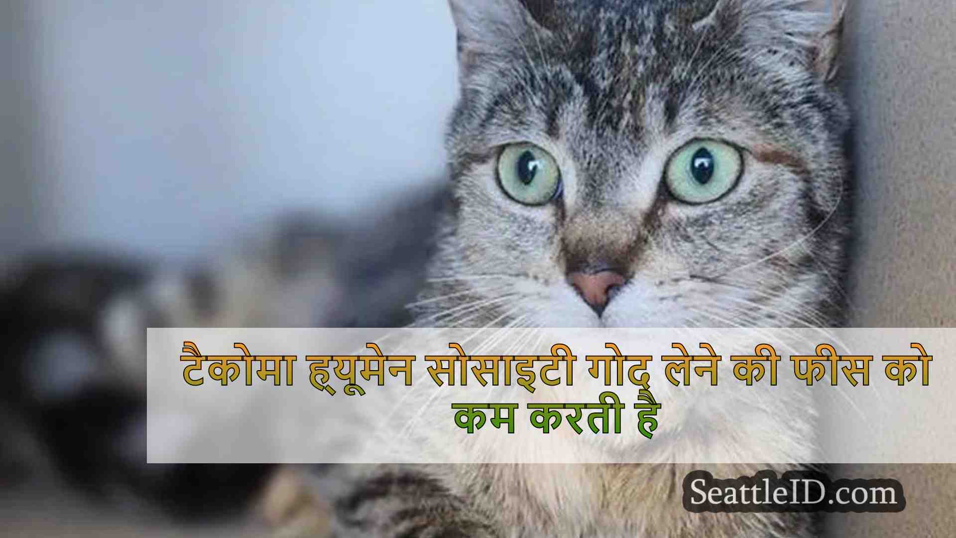 टैकोमा ह्यूमेन सोसाइटी गोद लेने की फीस