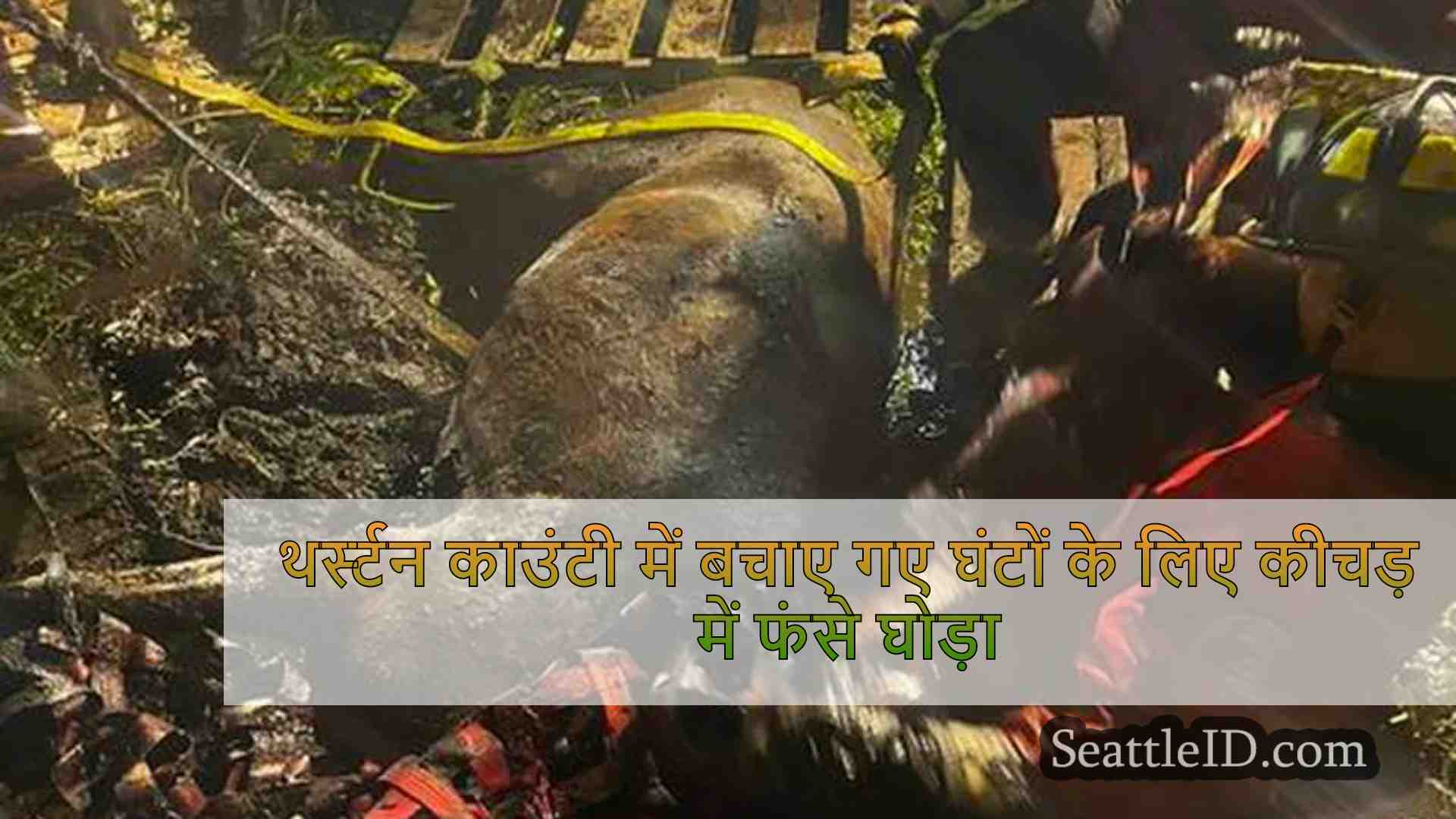 सिएटल समाचार SeattleID